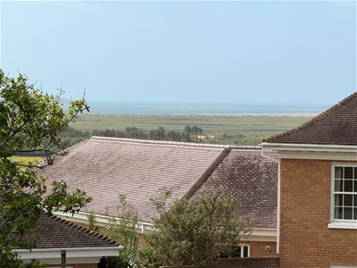 Picture 40
